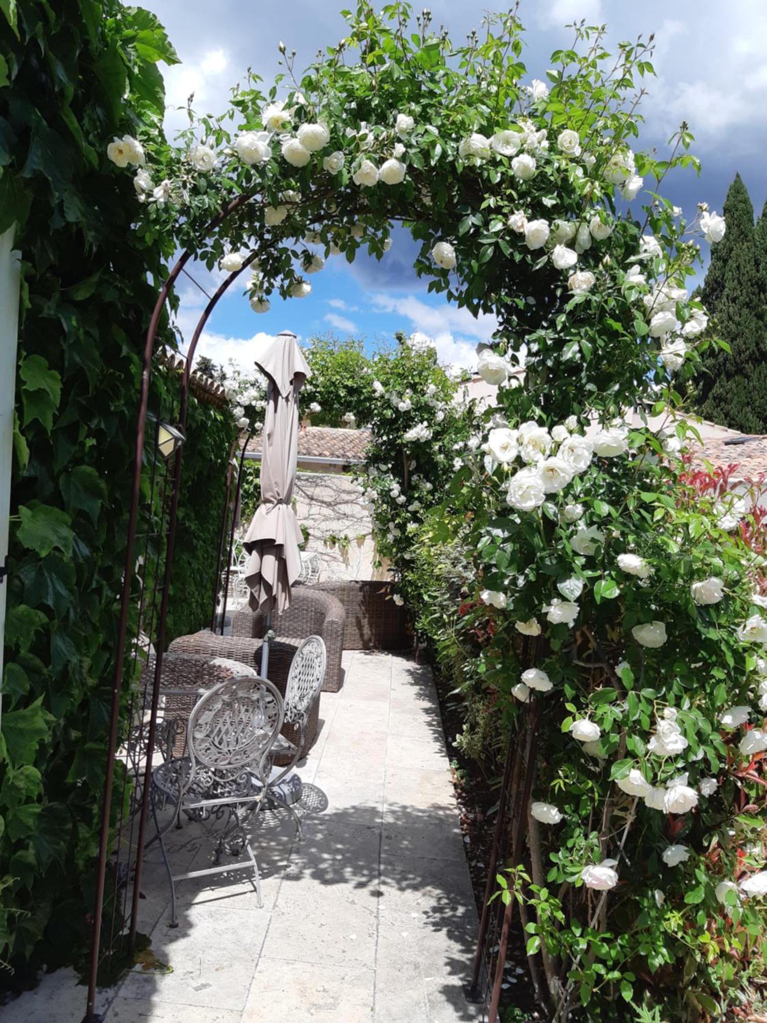 Le Chat Sur Le Toit Lourmarin Eksteriør billede